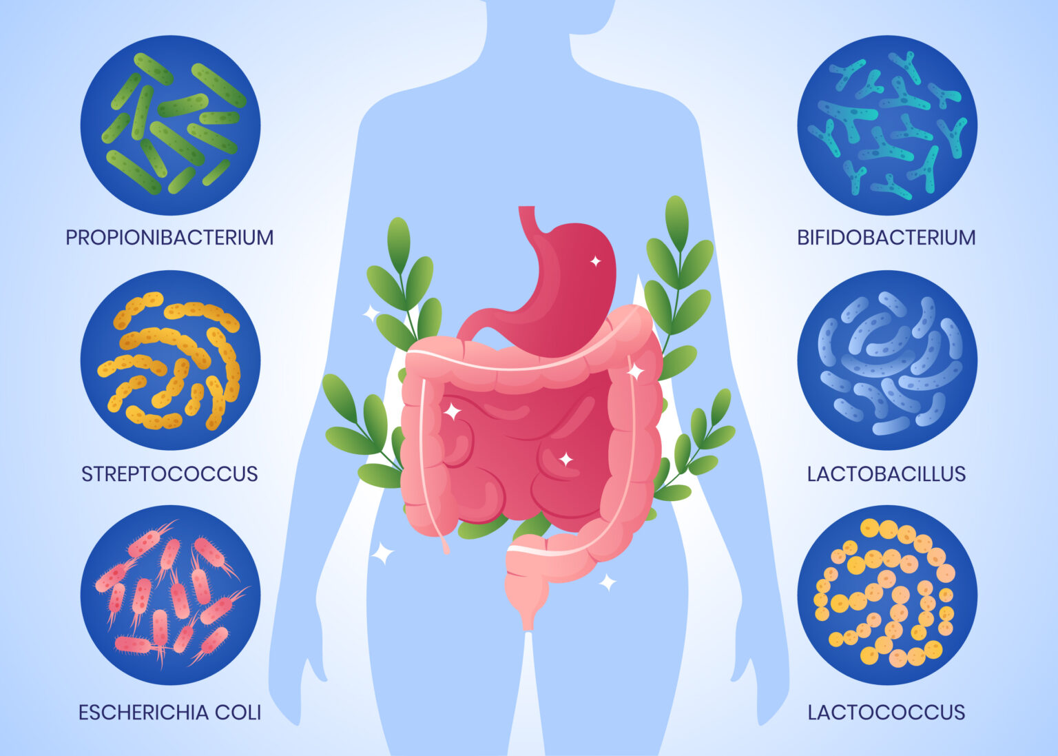 microbiota intestinal