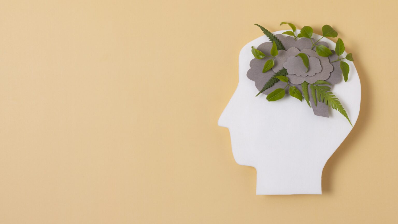 Filosofía y salud del pensamiento: el arte de vivir bien Filosofía y salud