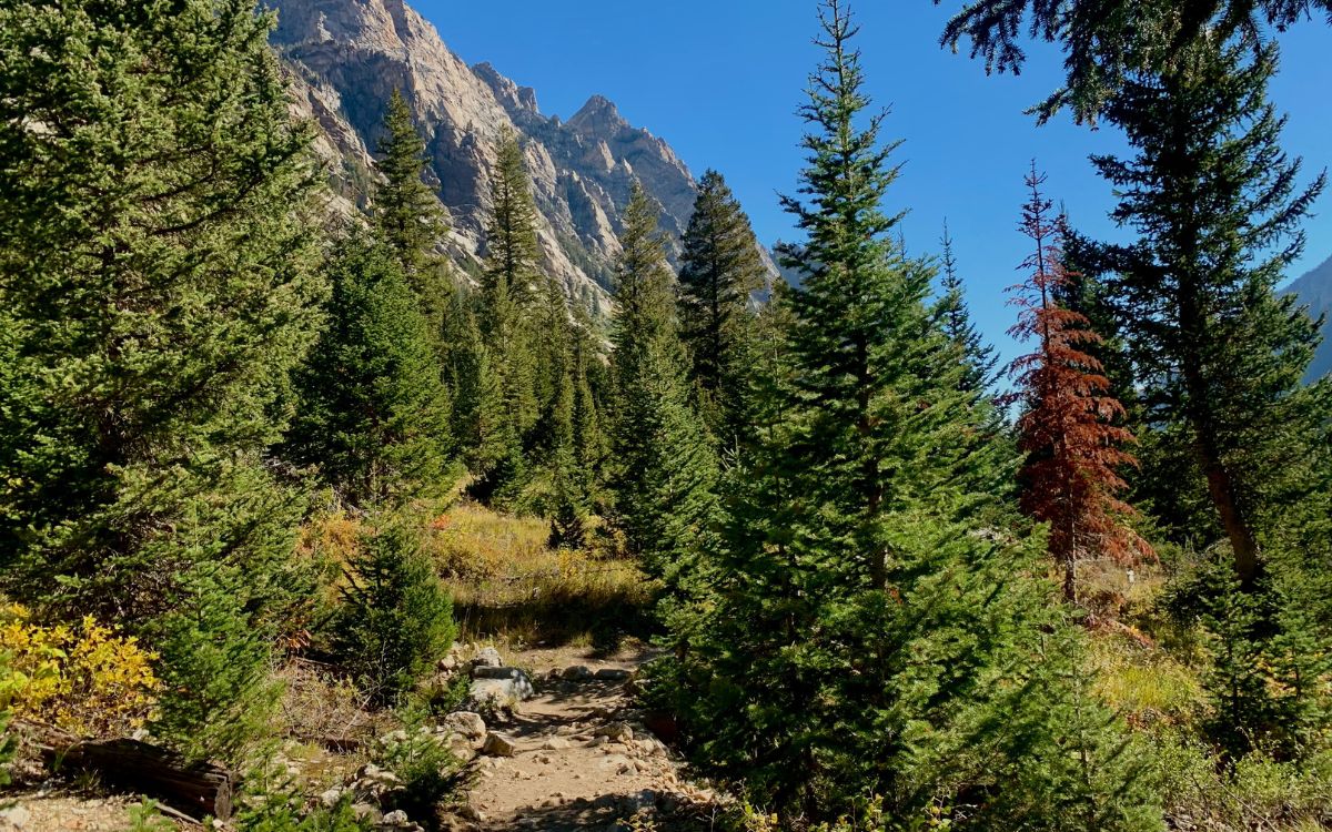 rutas de senderismo de Riaza