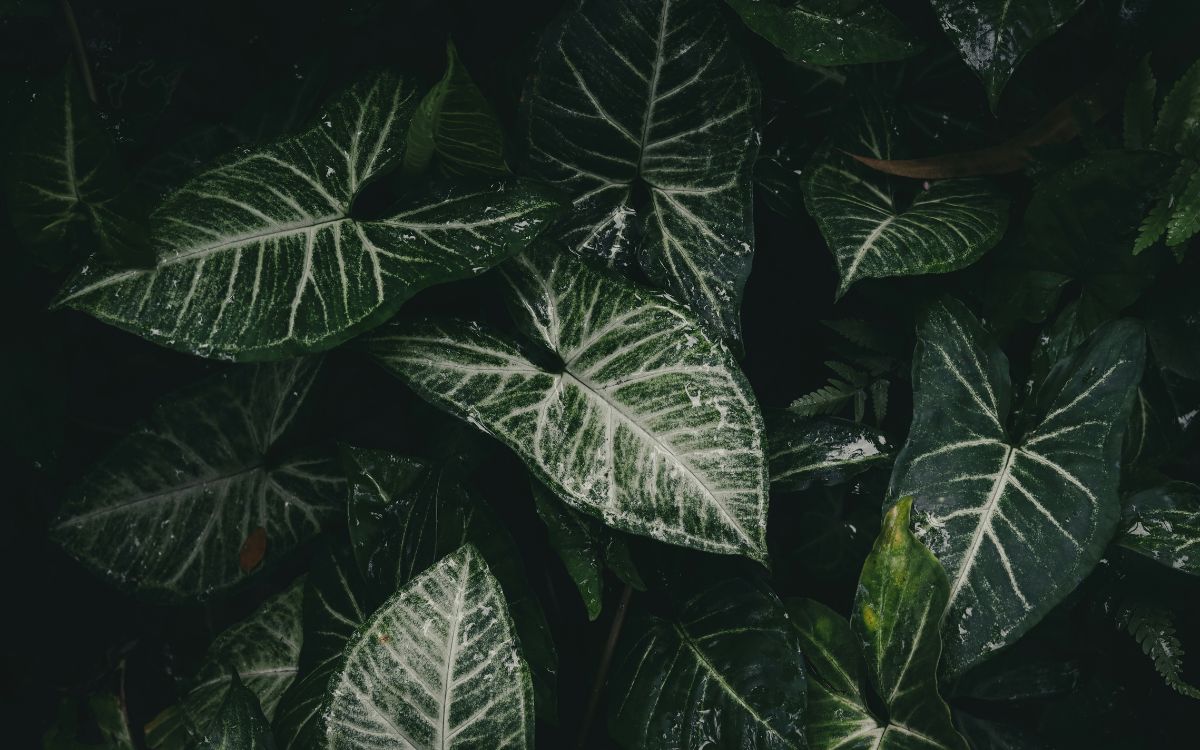 El lenguaje de la piel: Sanar el interior a través del cuidado consciente